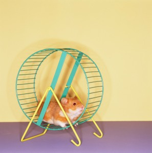 Fast Fashion is Like the Eternal Hamster Wheel. Can you really keep up?